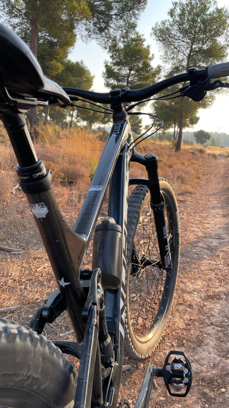 MODELO: TRANSPARENTE